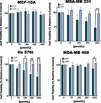 Augmentation of Extracellular ATP Synergizes With Chemotherapy in Triple Negative Breast Cancer